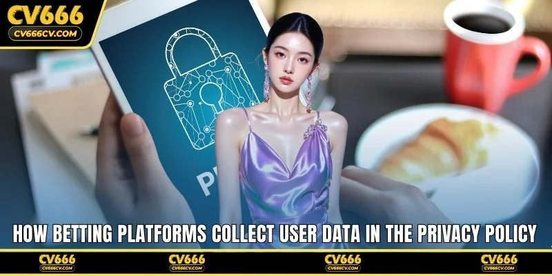 How betting platforms collect user data in the privacy policy