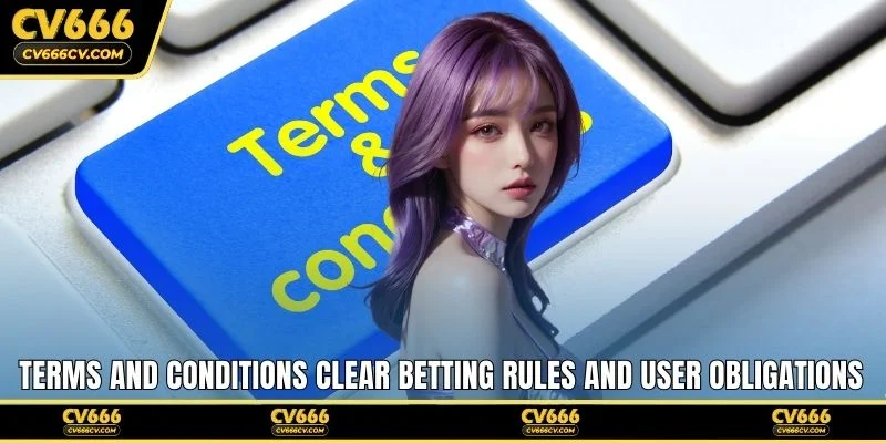 Terms and conditions clear betting rules and user obligations