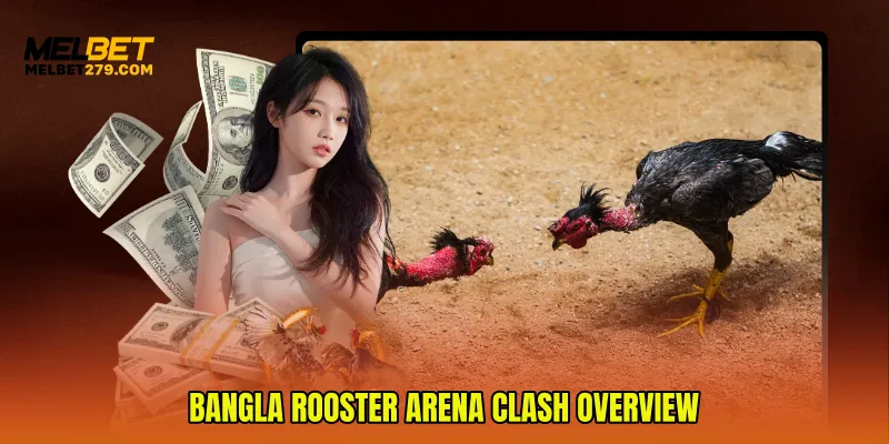 Bangla Rooster Arena Clash Overview