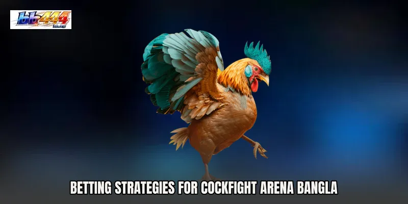 Betting Strategies for Cockfight Arena Bangla