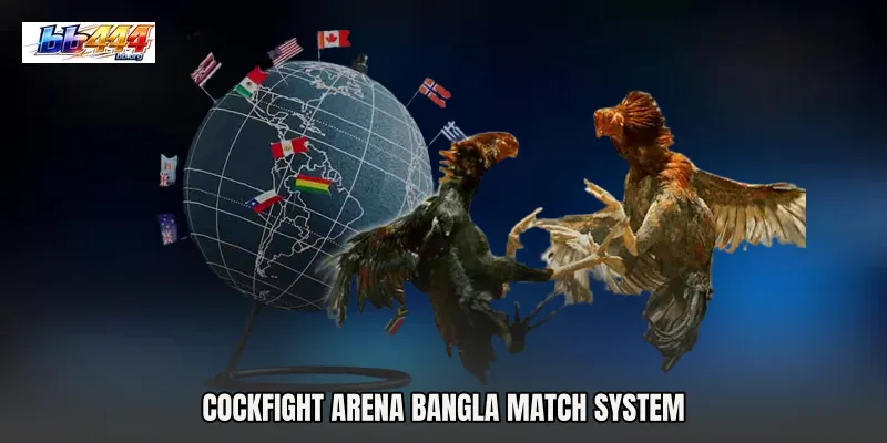 Cockfight Arena Bangla Match System