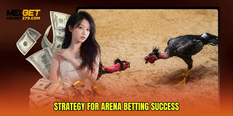 Strategy for Arena Betting Success