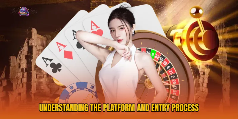 Understanding the platform and entry process