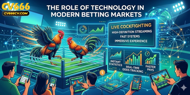 The Role of Technology in Online Betting Evolution