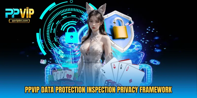 PPVIP Data Protection Inspection privacy framework
