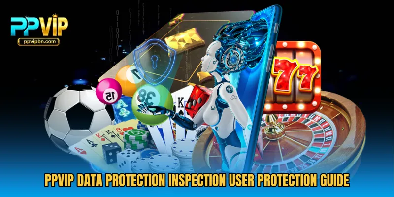 PPVIP Data Protection Inspection user protection guide